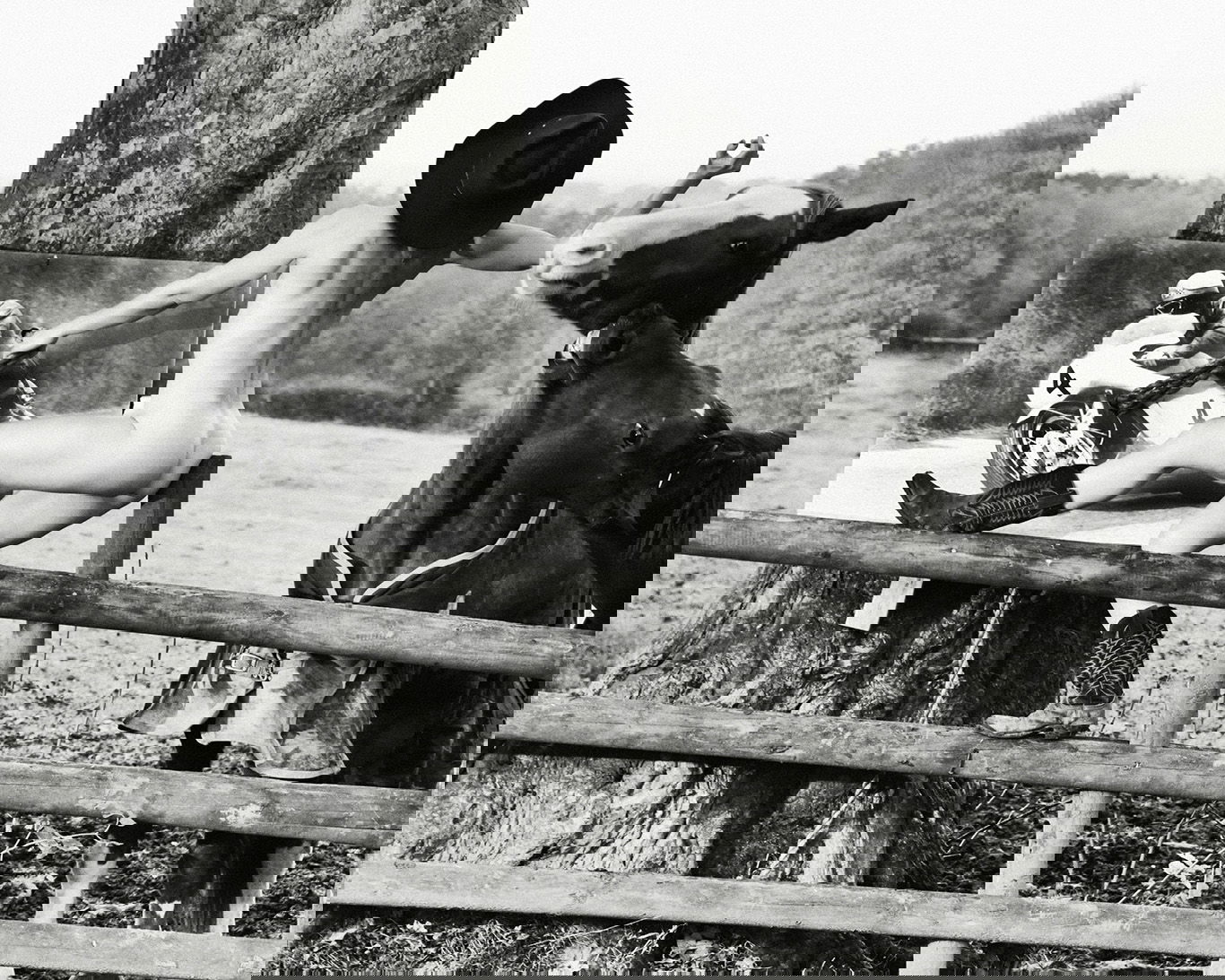 LR BOOK GREEBA BUCKING BRONCO.jpg